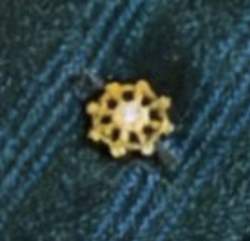 34450 B