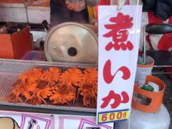43156 B