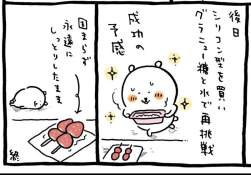 68309 B