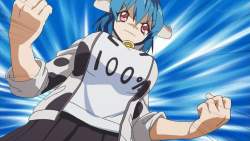 225330 B