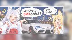 4233272 B