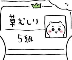 45784 B