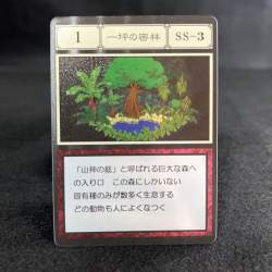 39804 B