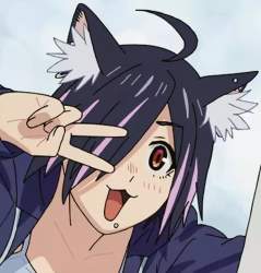 283682 B