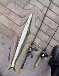 86388 B
