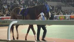 1851907 B
