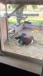 7104662 B