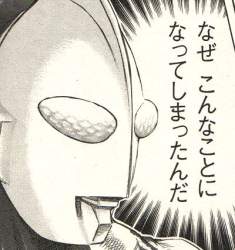 48586 B
