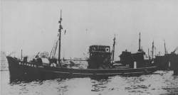 50636 B