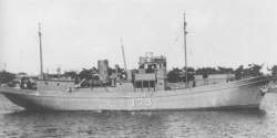 29443 B