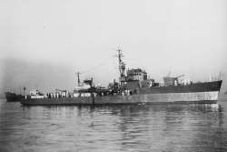 493294 B