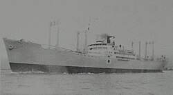 11391 B