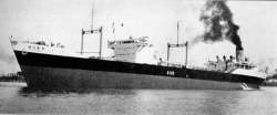 233262 B
