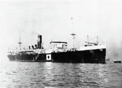 135337 B