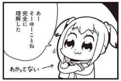 15904 B