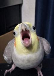 111662 B