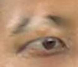 11729 B
