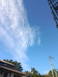 3103373 B