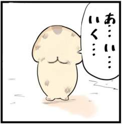 86565 B