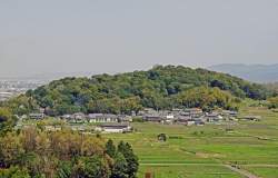 244641 B