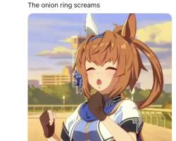 135341 B