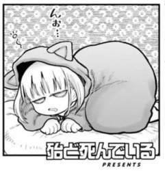 55576 B