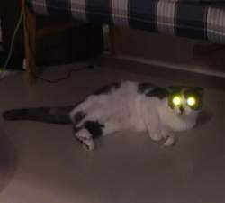 22920 B