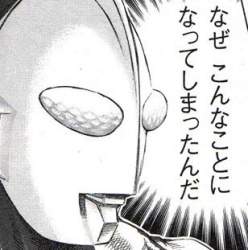 22366 B