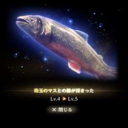 117533 B