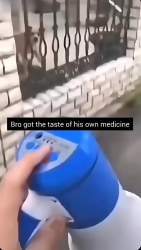 5466165 B