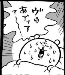 24466 B