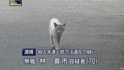 39592 B