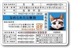 54144 B