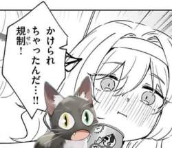 44344 B