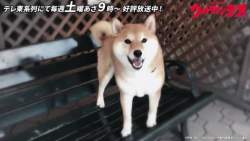 34631 B