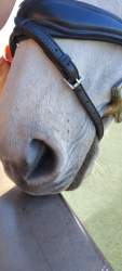 337658 B