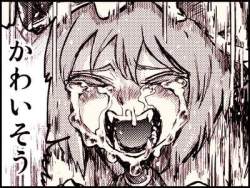 54541 B