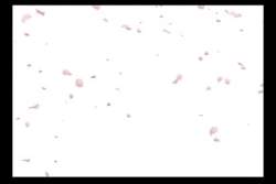 2970694 B