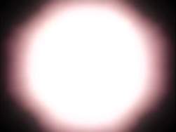5451791 B