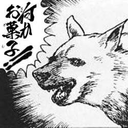 74906 B