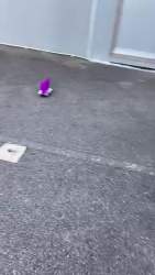 1223086 B