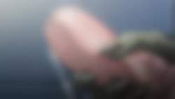 2537815 B