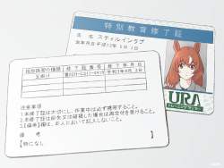 252949 B