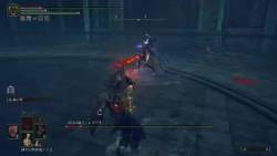 2537996 B