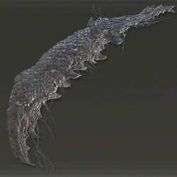 8521 B