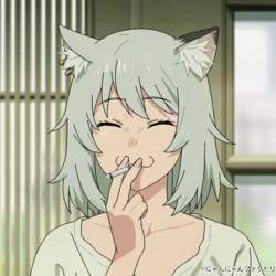 49775 B