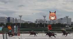 180555 B
