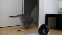 3478777 B