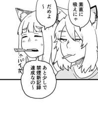 50538 B