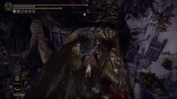 4339566 B